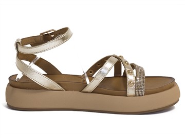 Inuovo A96052 Gold 25t